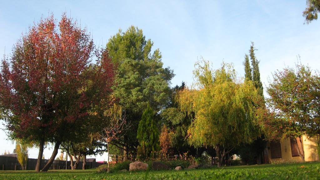 Posada Del Viajero San Rafael エクステリア 写真