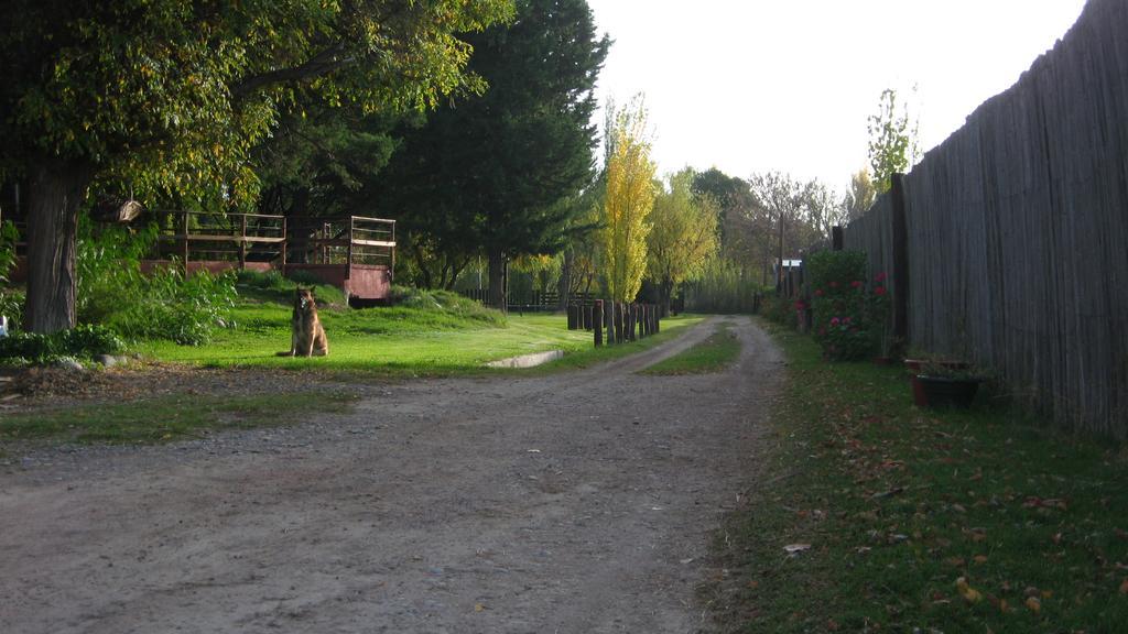Posada Del Viajero San Rafael エクステリア 写真